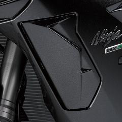 Ninja H2 SX - Details (2)